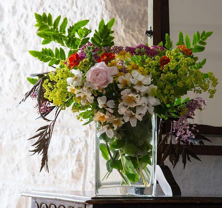 Ross Castle B&B Oldcastle ภายนอก รูปภาพ