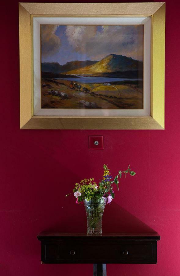 Ross Castle B&B Oldcastle ภายนอก รูปภาพ