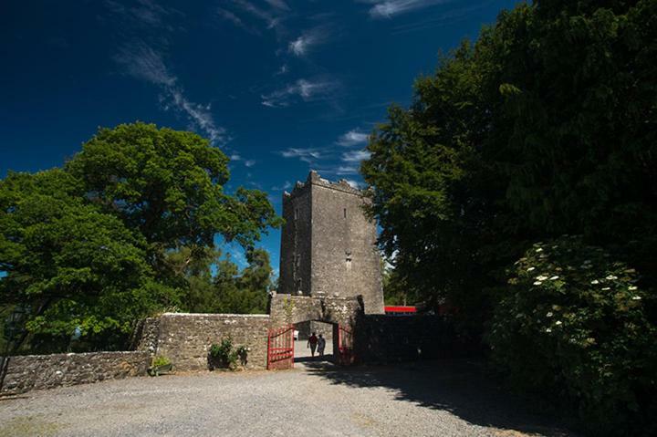 Ross Castle B&B Oldcastle ภายนอก รูปภาพ