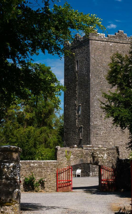 Ross Castle B&B Oldcastle ภายนอก รูปภาพ